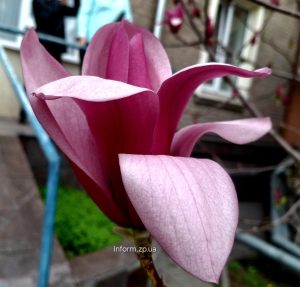 Підсумки дня в Запорізькій області