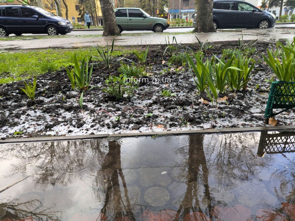 У Запоріжжі вирує негода: град та сильний дощ
