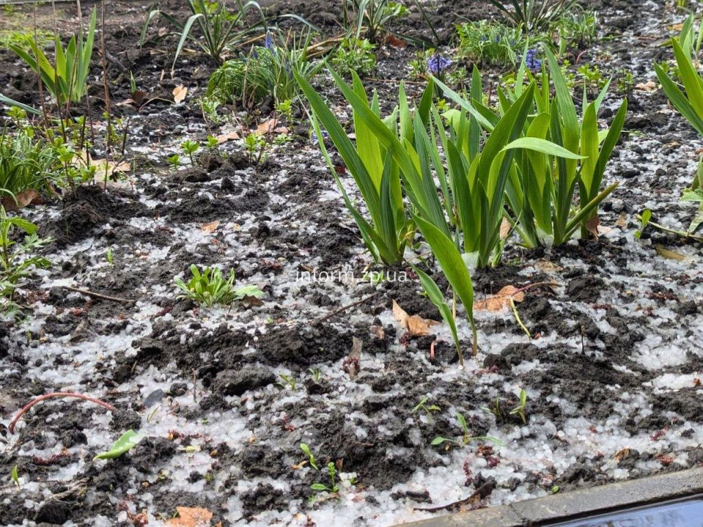 У Запоріжжі вирує негода: град та сильний дощ