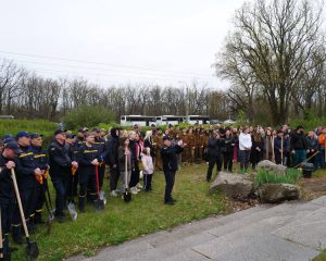 В запорожском парке высадили более 100 дубов