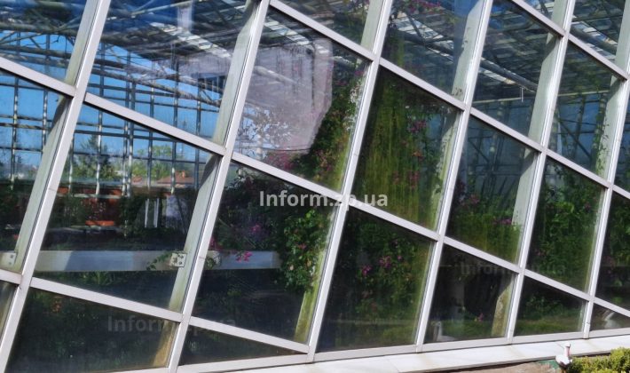 Магнолии, сакуры и первоцветы: весенний фоторепортаж из ботанического сада Запорожья