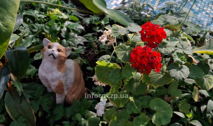 Магнолии, сакуры и первоцветы: весенний фоторепортаж из ботанического сада Запорожья