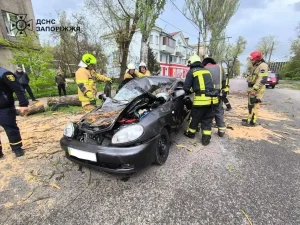 У Запоріжжі загинув чоловік під час негоди, – ДСНС (ФОТО)