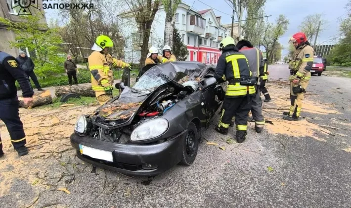 Грозы и сильный ветер: запорожцев предупреждают об опасной погоде