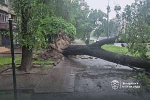 Непогода в Запорожье: повреждены автомобили и повалены деревья (ФОТО)