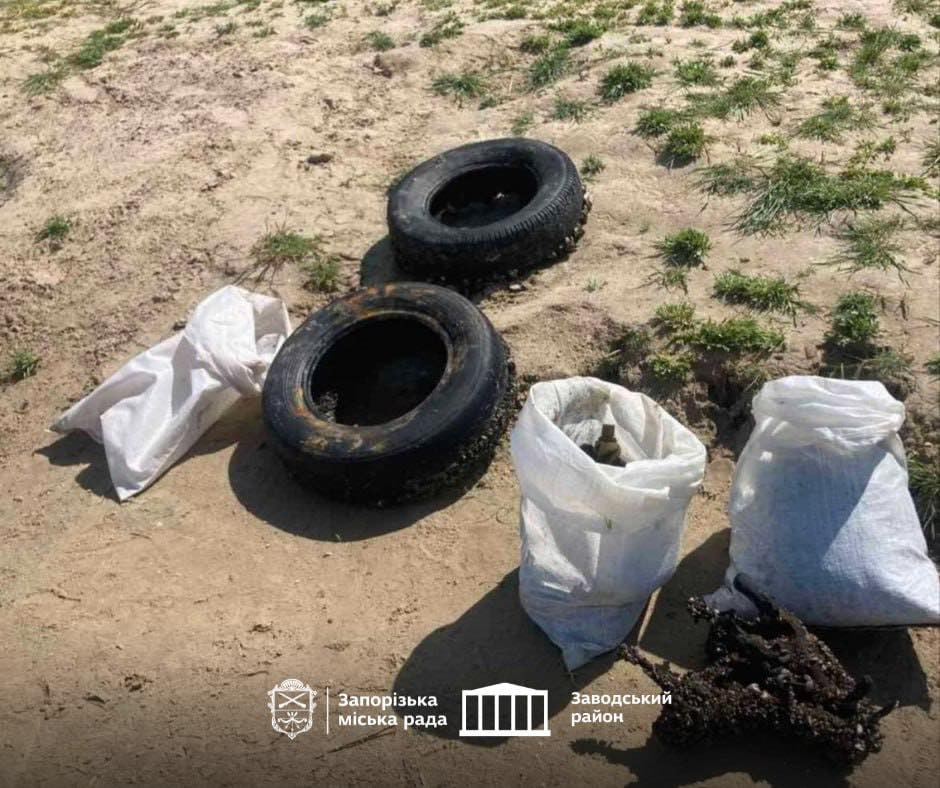 Прибирання пляжу у Заводському районі Запоріжжя. Фото: райадміністрація