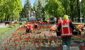 У центрі Запоріжжя висадять понад 15 тисяч квітів до Дня пам’яті (ФОТО)