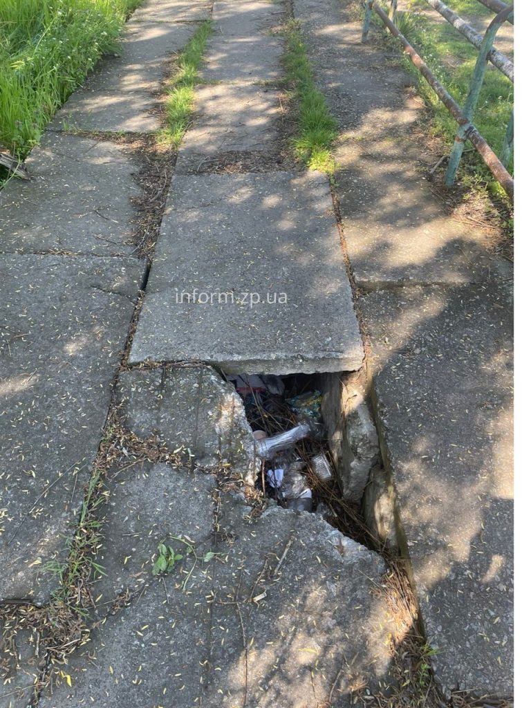 Сухие ивы, заросли и мусор: фоторепортаж из Запорожского речного порта