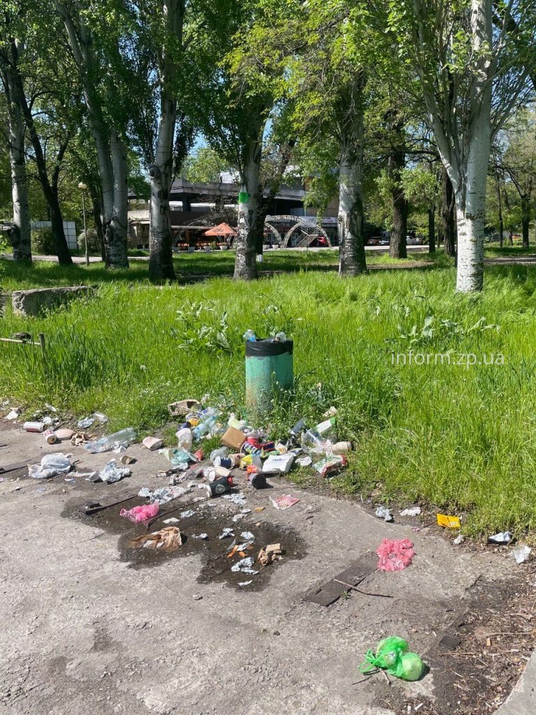 Сухие ивы, заросли и мусор: фоторепортаж из Запорожского речного порта