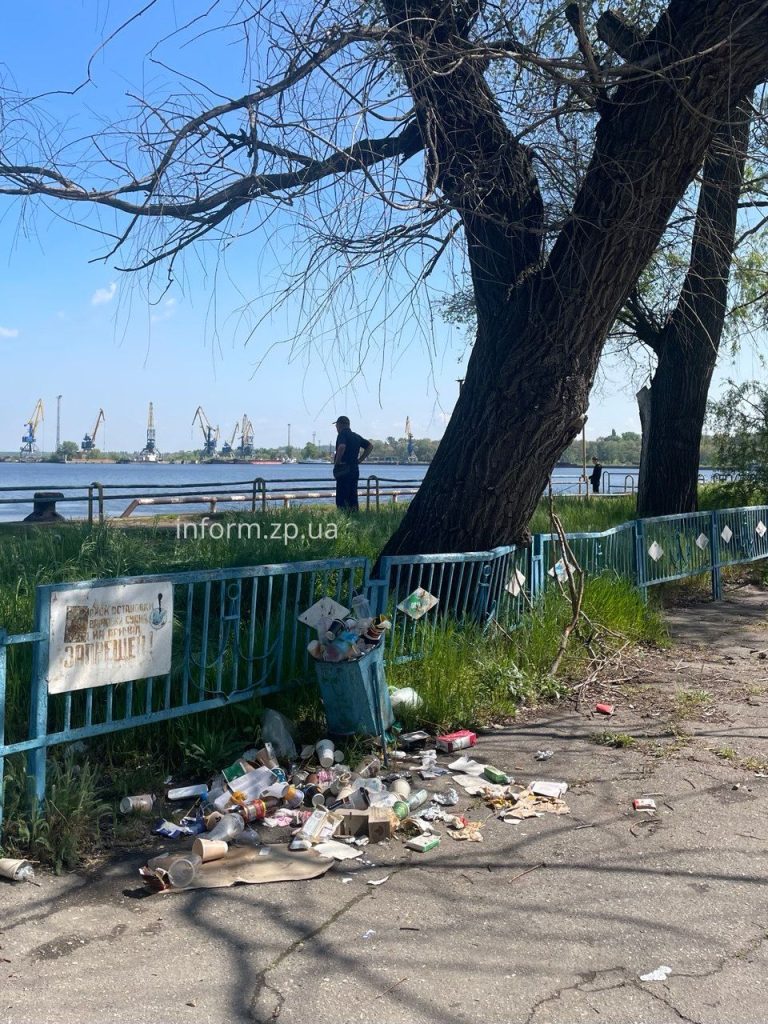 Сухие ивы, заросли и мусор: фоторепортаж из Запорожского речного порта
