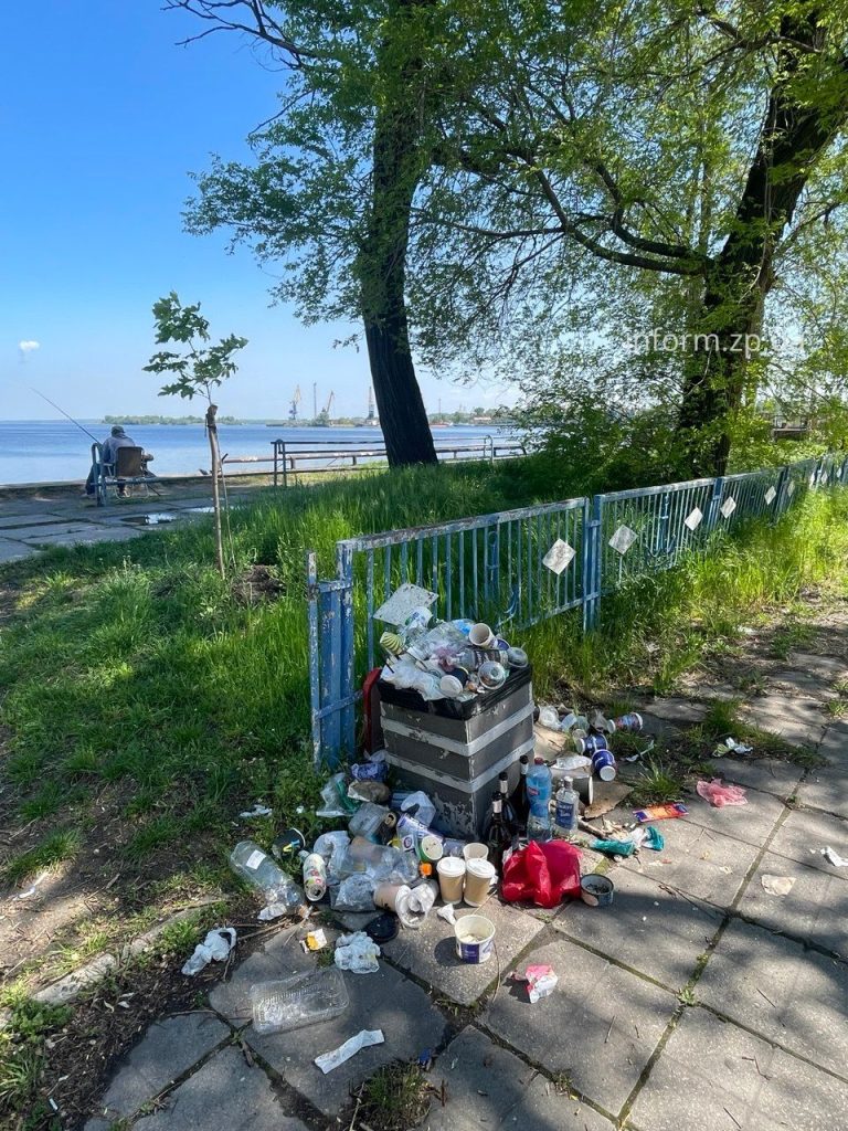 Сухие ивы, заросли и мусор: фоторепортаж из Запорожского речного порта