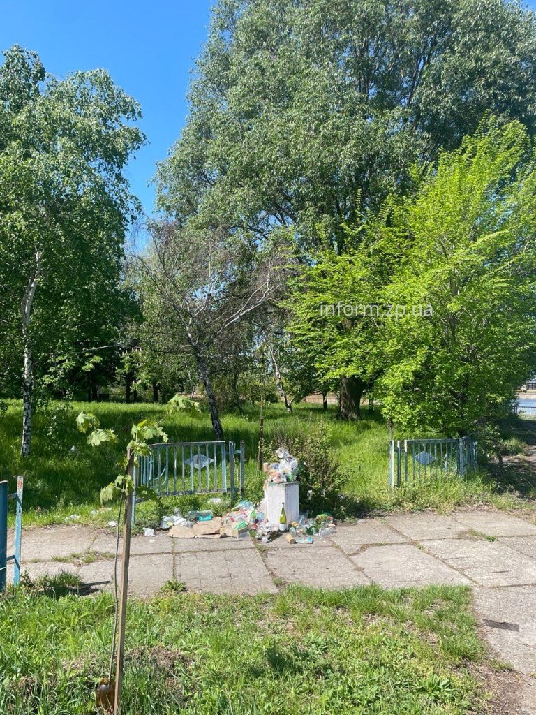 Сухие ивы, заросли и мусор: фоторепортаж из Запорожского речного порта