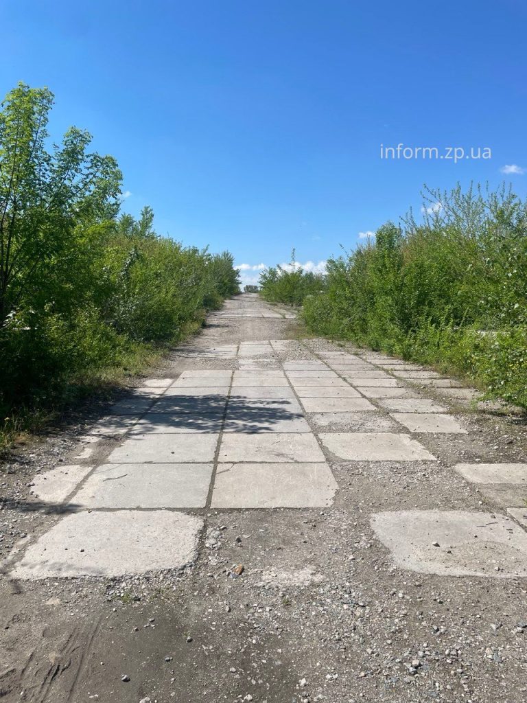 Сухие ивы, заросли и мусор: фоторепортаж из Запорожского речного порта