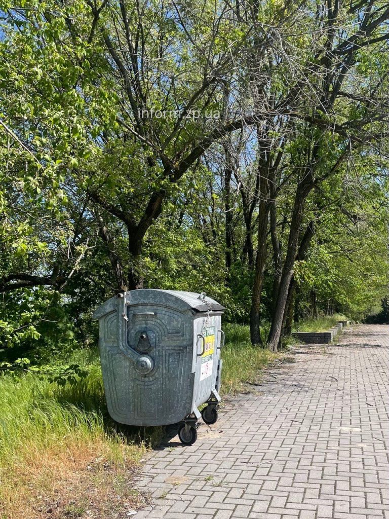 Сухие ивы, заросли и мусор: фоторепортаж из Запорожского речного порта