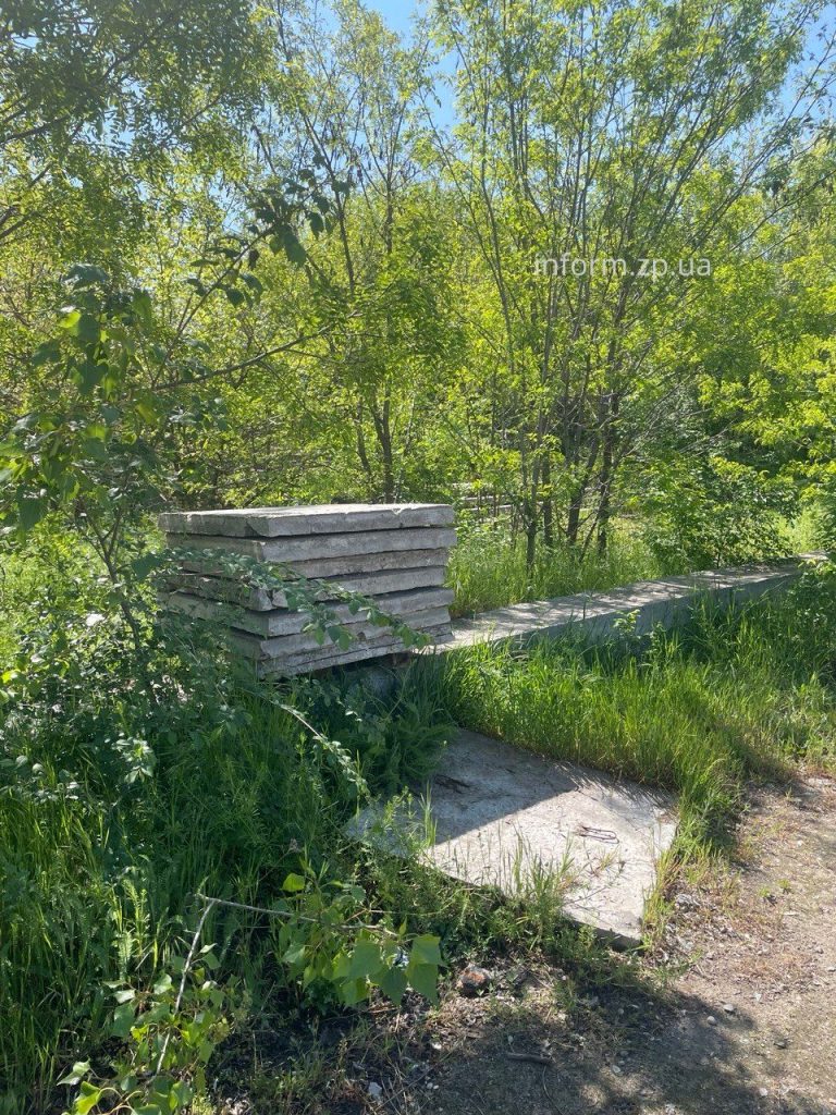 Сухие ивы, заросли и мусор: фоторепортаж из Запорожского речного порта