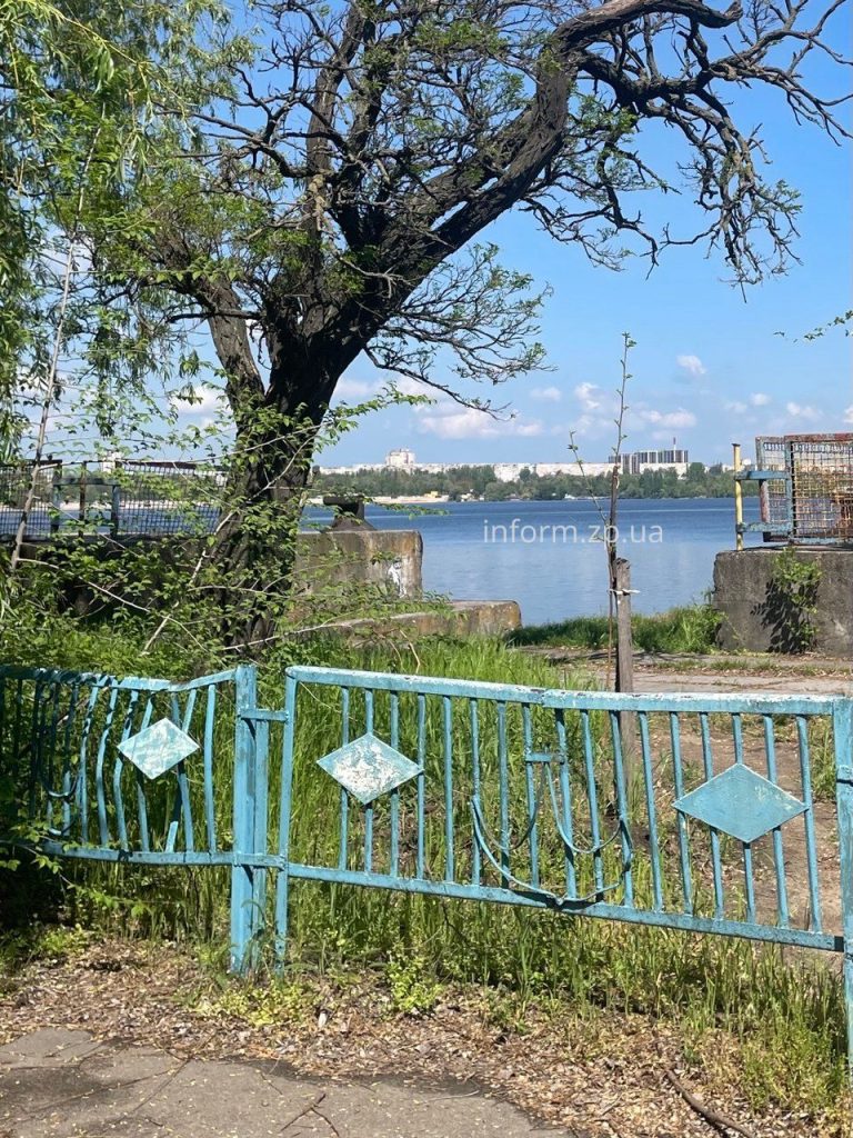 Сухие ивы, заросли и мусор: фоторепортаж из Запорожского речного порта