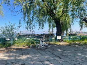 Сухие ивы, заросли и мусор: фоторепортаж из Запорожского речного порта