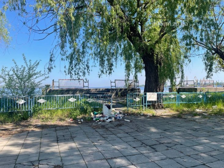 Сухие ивы, заросли и мусор: фоторепортаж из Запорожского речного порта