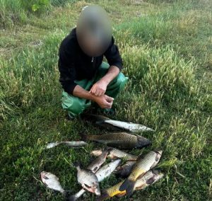 Браконьєри на Запоріжжі наловили риби на 90 тисяч гривень: деталі