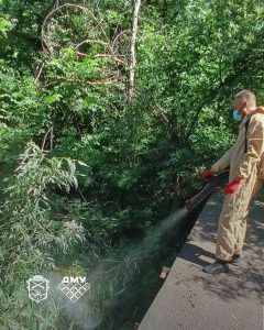 У Запоріжжі стартувала дезінсекція водойм для боротьби з комарами