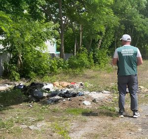 В Запорожском районе выявили стихийные свалки на площади 120 м² – экоинспекция