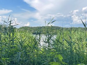 Прогноз погоды на неделю: что ждет Запорожье в конце июня