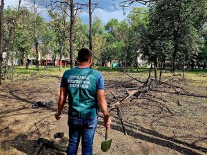 В Запорожье зафиксировали последствия обстрела Днепровского района (ФОТО)