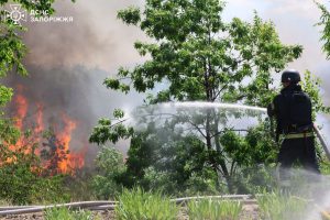 В Запорожье и области 17 июня из-за обстрелов РФ возникло 6 пожаров (ФОТО)