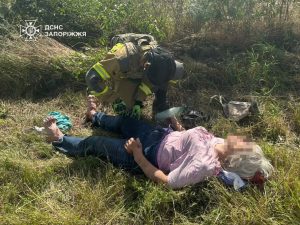 В Запорожской области автомобиль врезался в дерево: пострадала женщина