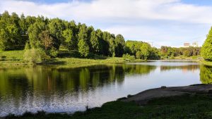 Аератор для ставка: як забезпечити водойму достатньою кількістю кисню