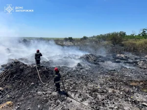 На Хортице и в области из-за обстрелов вспыхнули масштабные пожары (ФОТО)