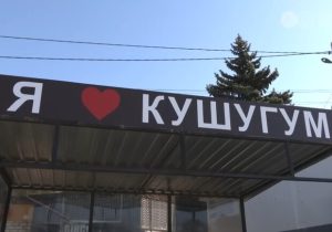 В Кушугумской громаде запустили бесплатный автобусный маршрут: расписание движения