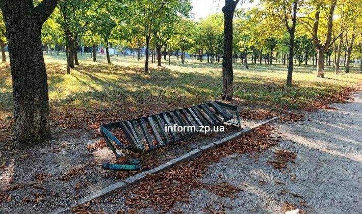 Впервые за 20 лет: в Запорожье начали обновлять парк Поколений (ФОТО)