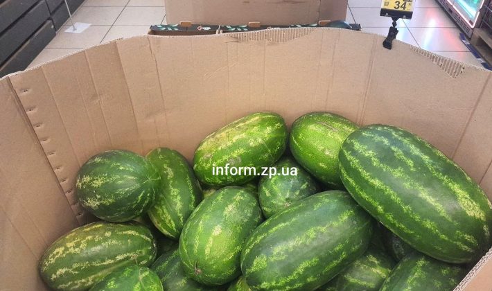 Сезон арбузов и дынь в Запорожье: где найти самые дешевые
