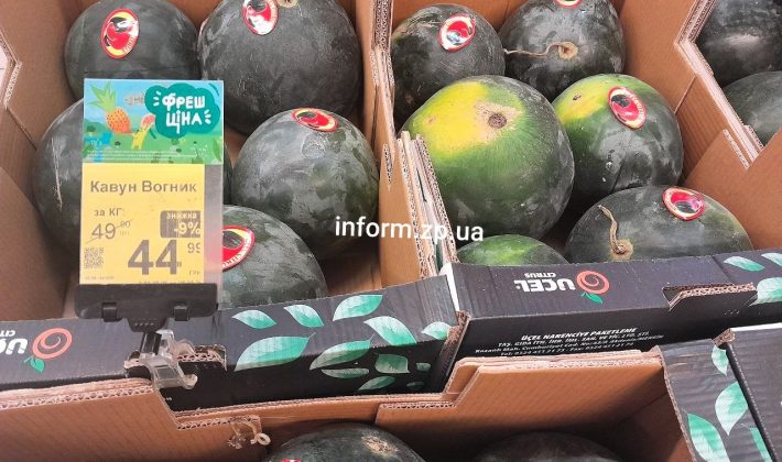 Сезон арбузов и дынь в Запорожье: где найти самые дешевые