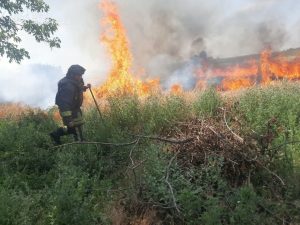 Дом, трактор и 6 гектаров сухостоя: спасатели Запорожья ликвидировали семь пожаров