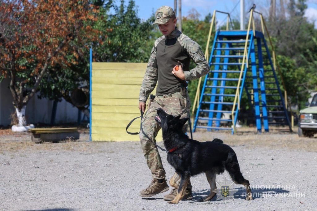 В Вольнянске во время удара по почте получила ранение служебная собака