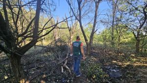 Загрязнение почвы и пожар: экологи зафиксировали последствия российского удара по АЗС в Запорожском районе