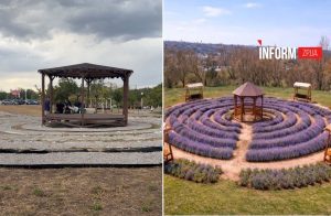 Лавандовый лабиринт в Запорожье: в парке возле «Веселки» создают новое пространство (ВИДЕО)