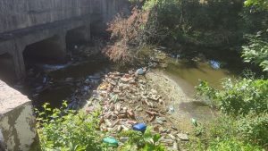 В Запорожье снова обнаружили мусор: где именно