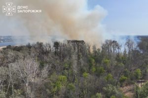 Пожежі на Запоріжжі: за добу ліквідували 18 займань