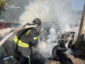 В Запорожье и пригороде за сутки произошли 13 пожаров: есть травмированные
