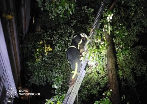 Запорожские спасатели трижды за сутки помогали животным