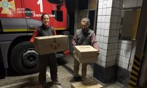 У Запоріжжі на балконі квартири знайшли 250 кажанів