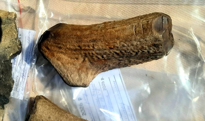 Гигантские рога оленя и каменные топоры: что достали со дна Днепра археологи Хортицы