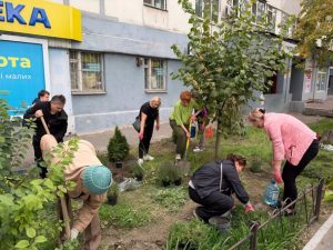 В Запорожье создали ароматерапевтическую клумбу и озеленили ветеранское пространство